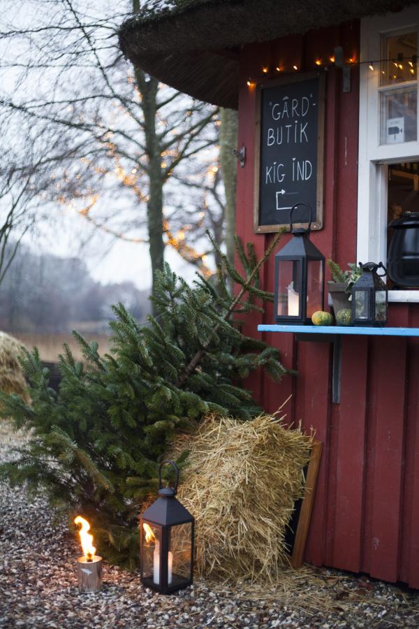 juletræ