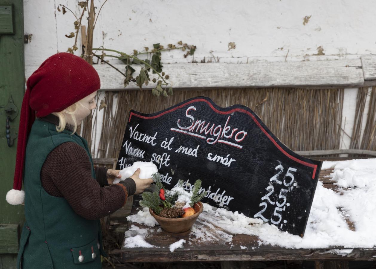 Sagnlandet jul
