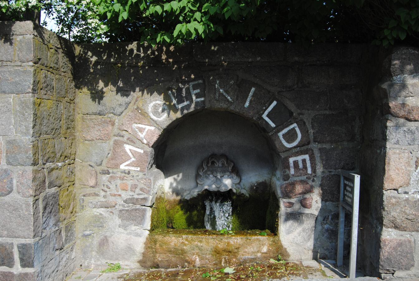 maglekilde