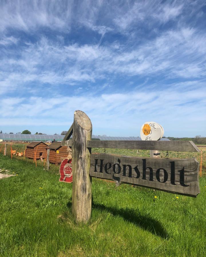 Hegnsholt