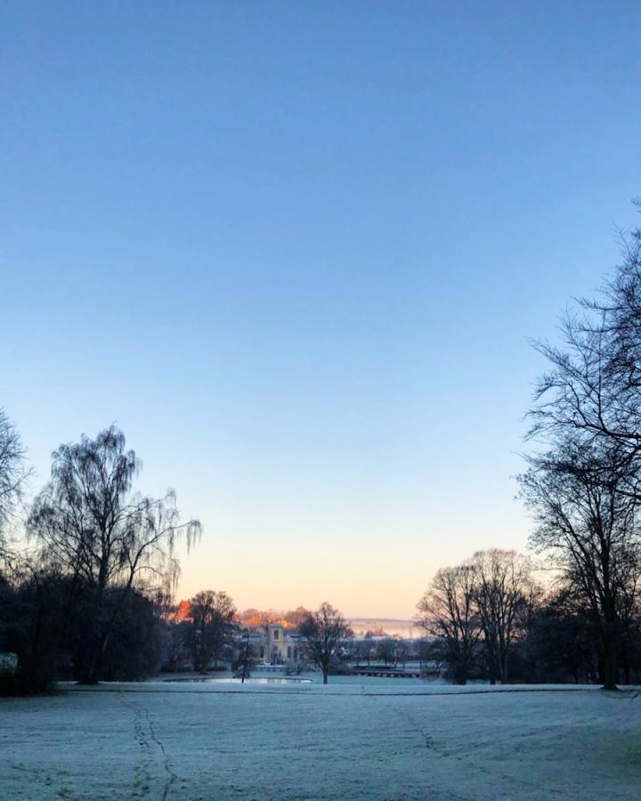 Byparken vinter