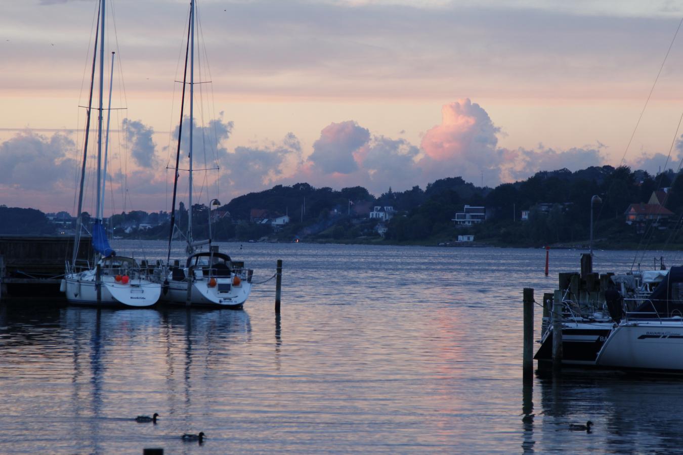 Roskilde havn