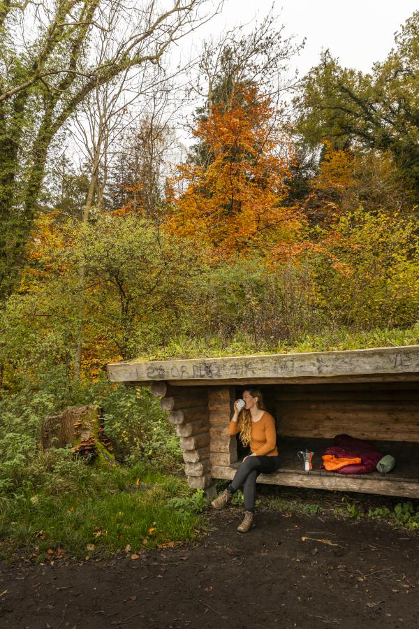 shelter overnatning