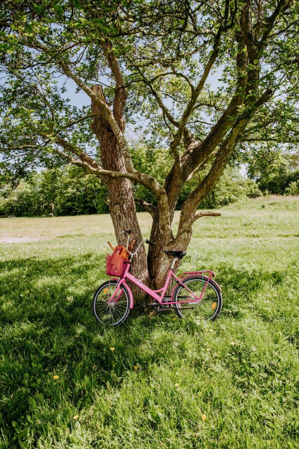 Cykel