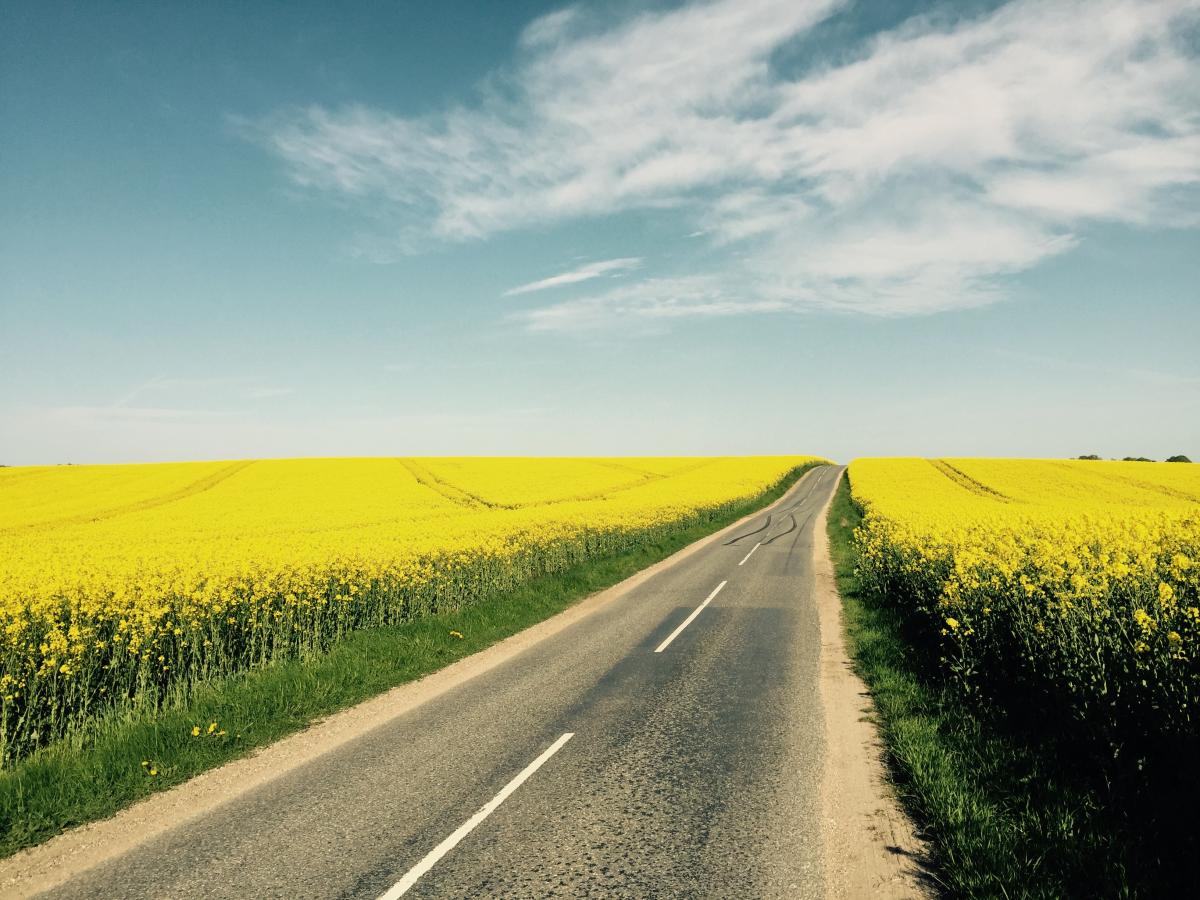 sommer
