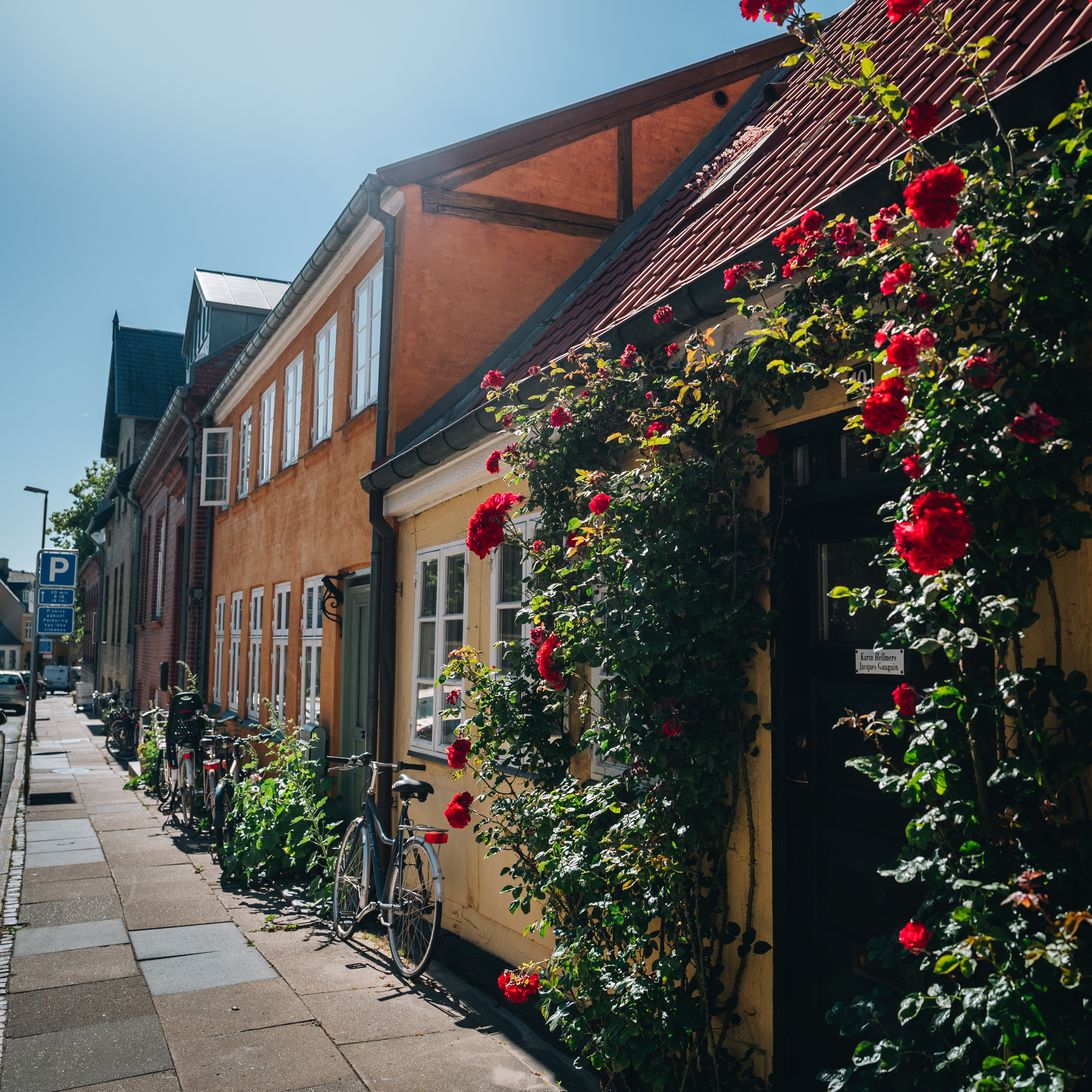 Gade med roser i Roskilde