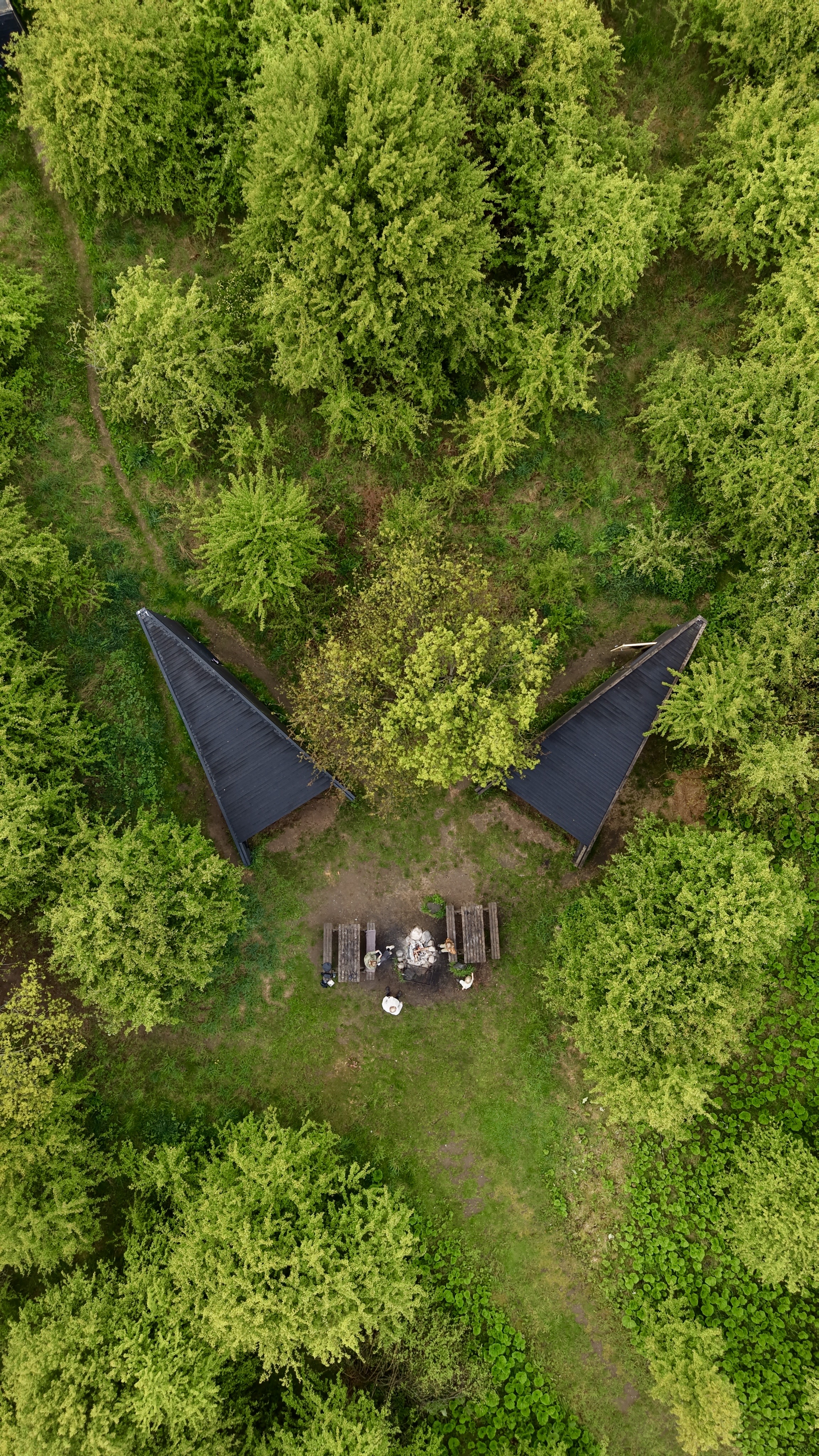 Luftfoto af Lavringe Å Shelterplads med shelters, bålplads og grøn skov omgivet af tæt vegetation.