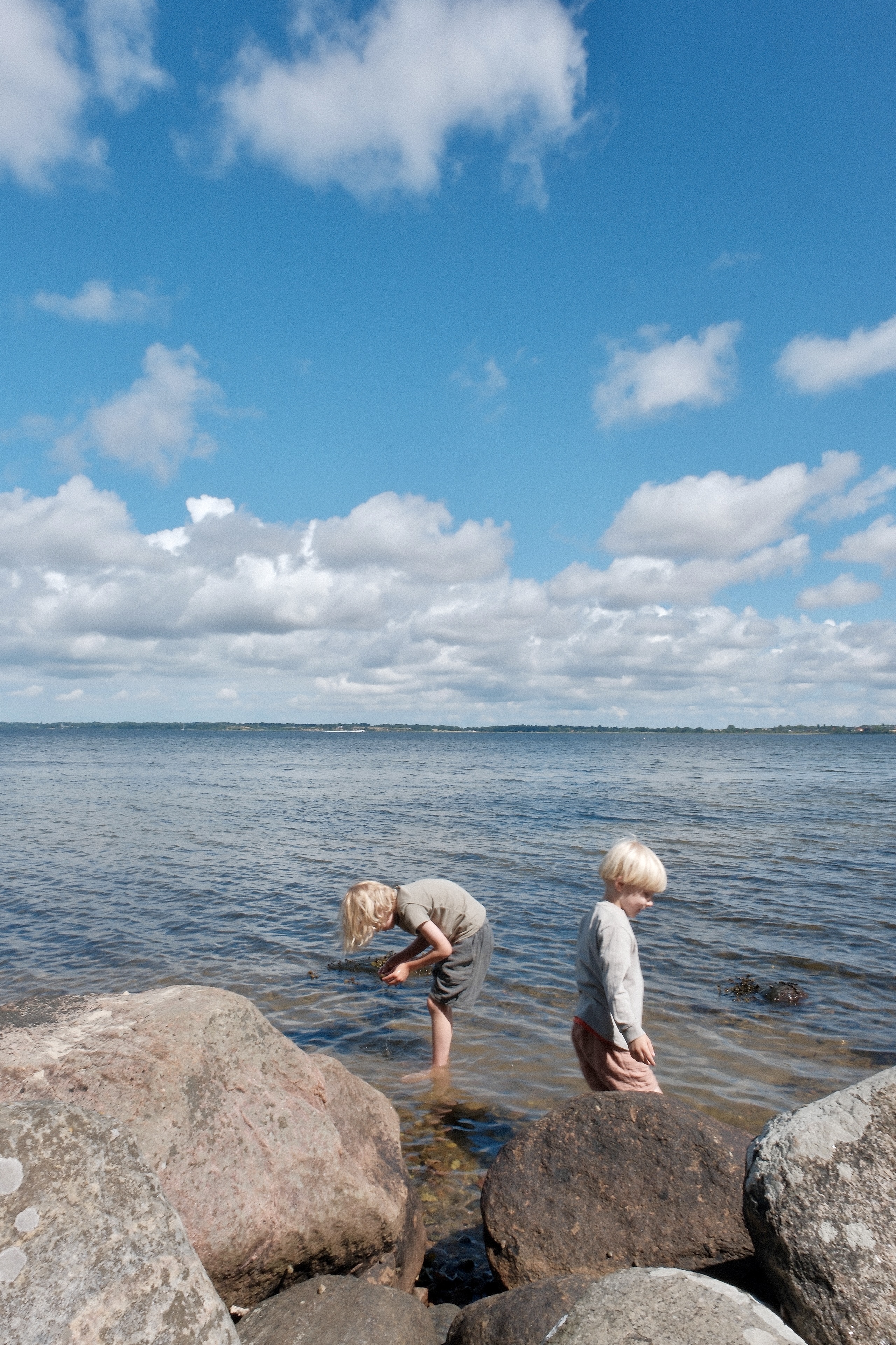 To børn udforsker det lave vand og stenene langs kysten ved Tarzanskrænten i Frederikssund.