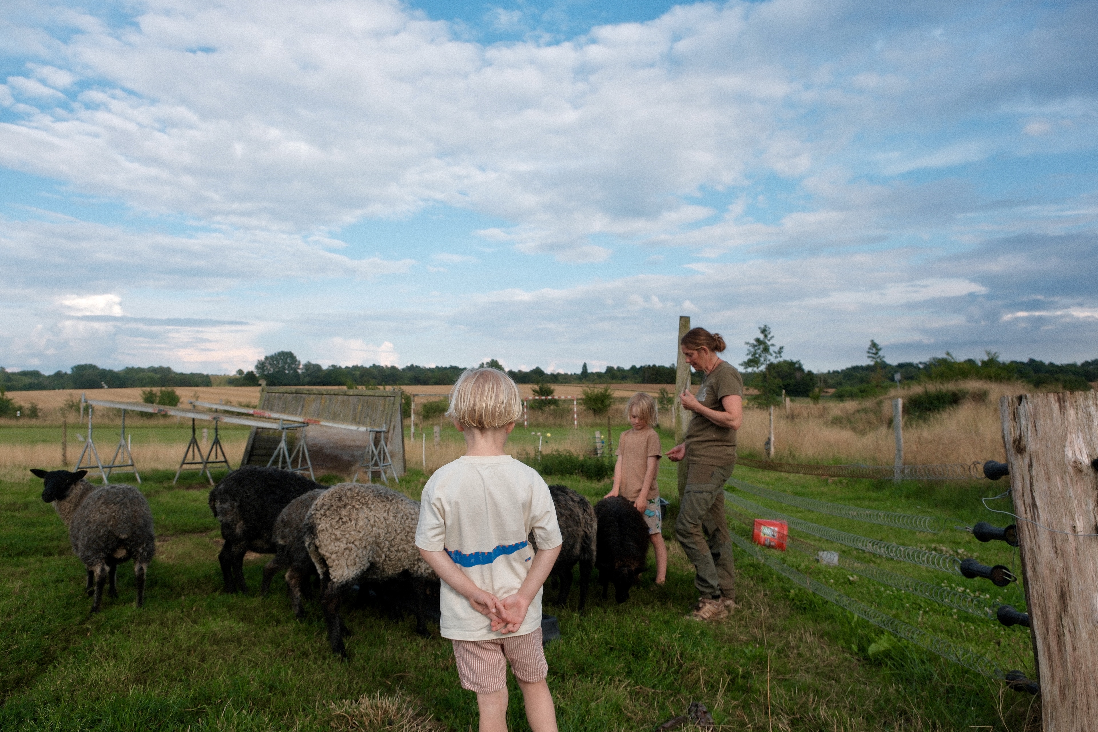 Familie fodrer får på marken ved Nordgården, hvor børn og voksne kommer tæt på dyrene i landlige omgivelser.