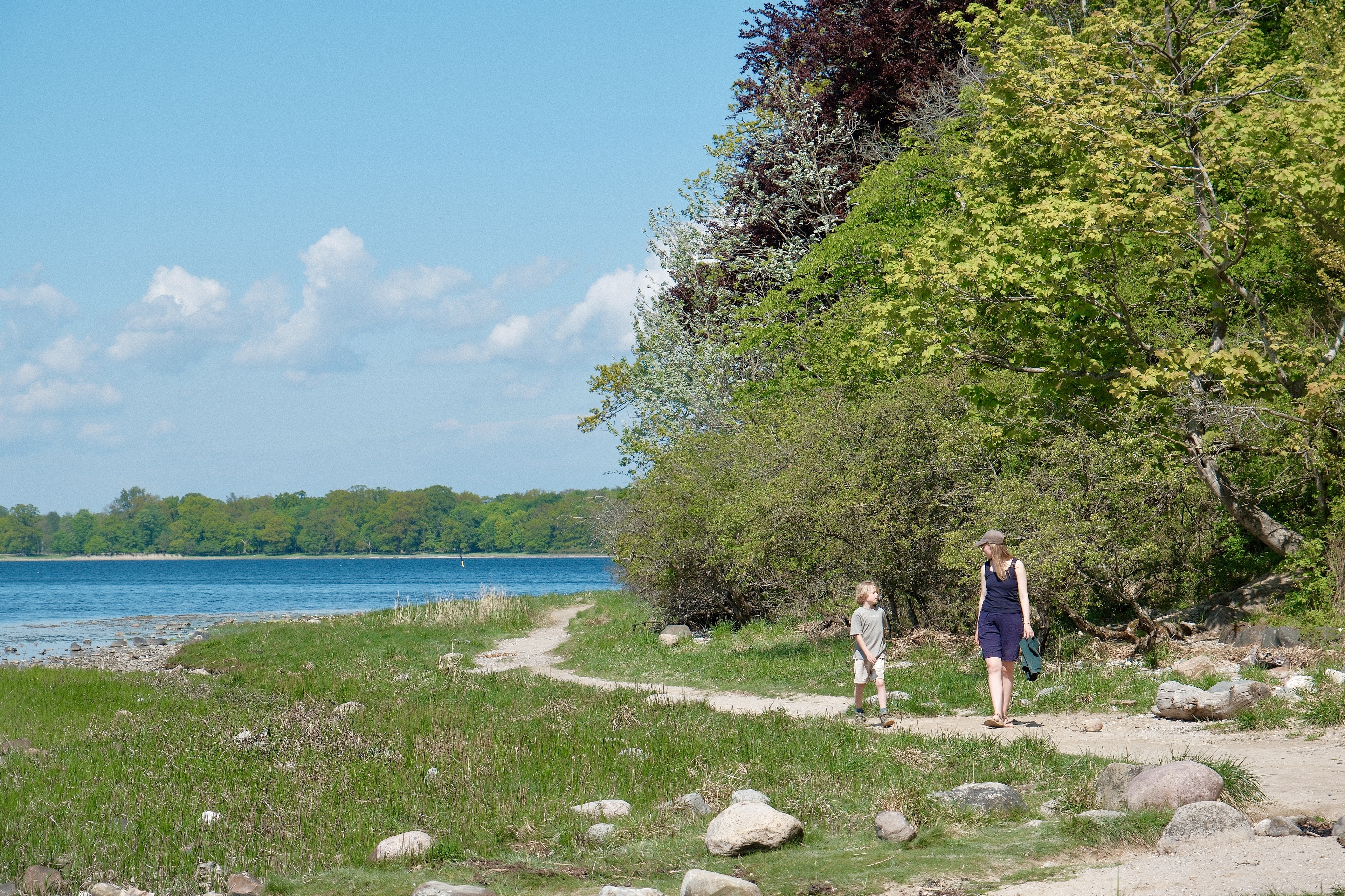 Voksen og barn går på kyststi langs Roskilde Fjord omgivet af grøn natur og udsigt til det blå vand.