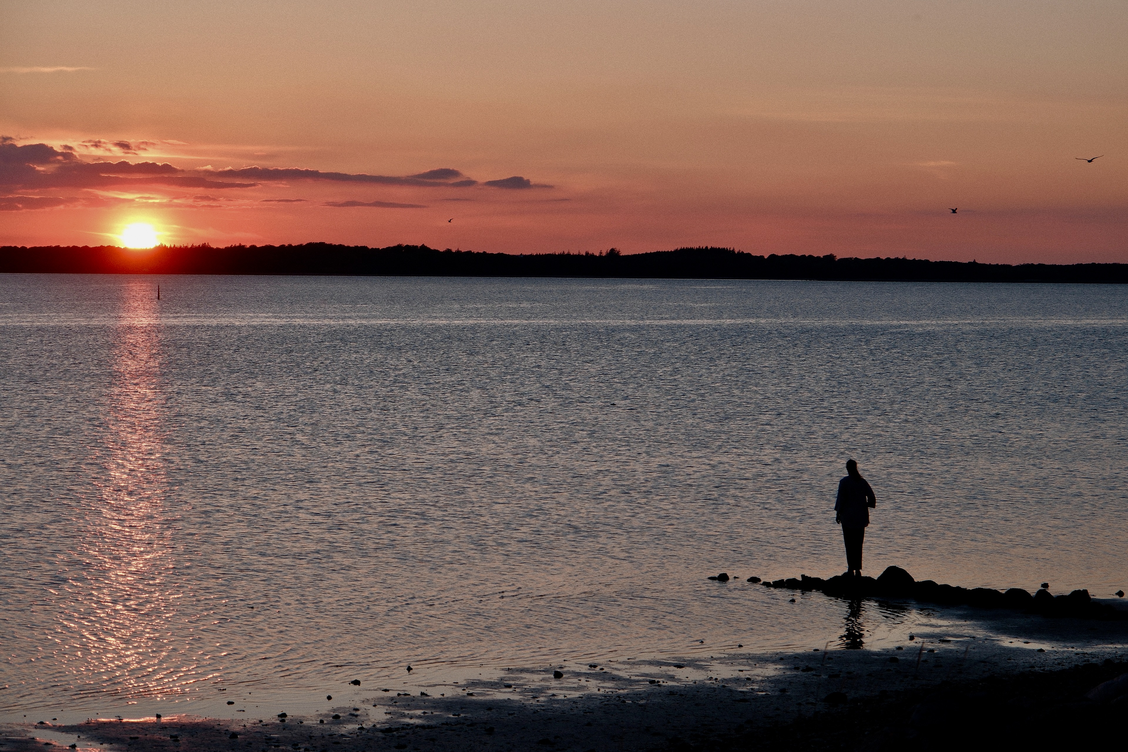 Solnedgang over fjorden i Fjordlandet med en person stående på sten ved vandkanten og udsigt over det rolige vand.