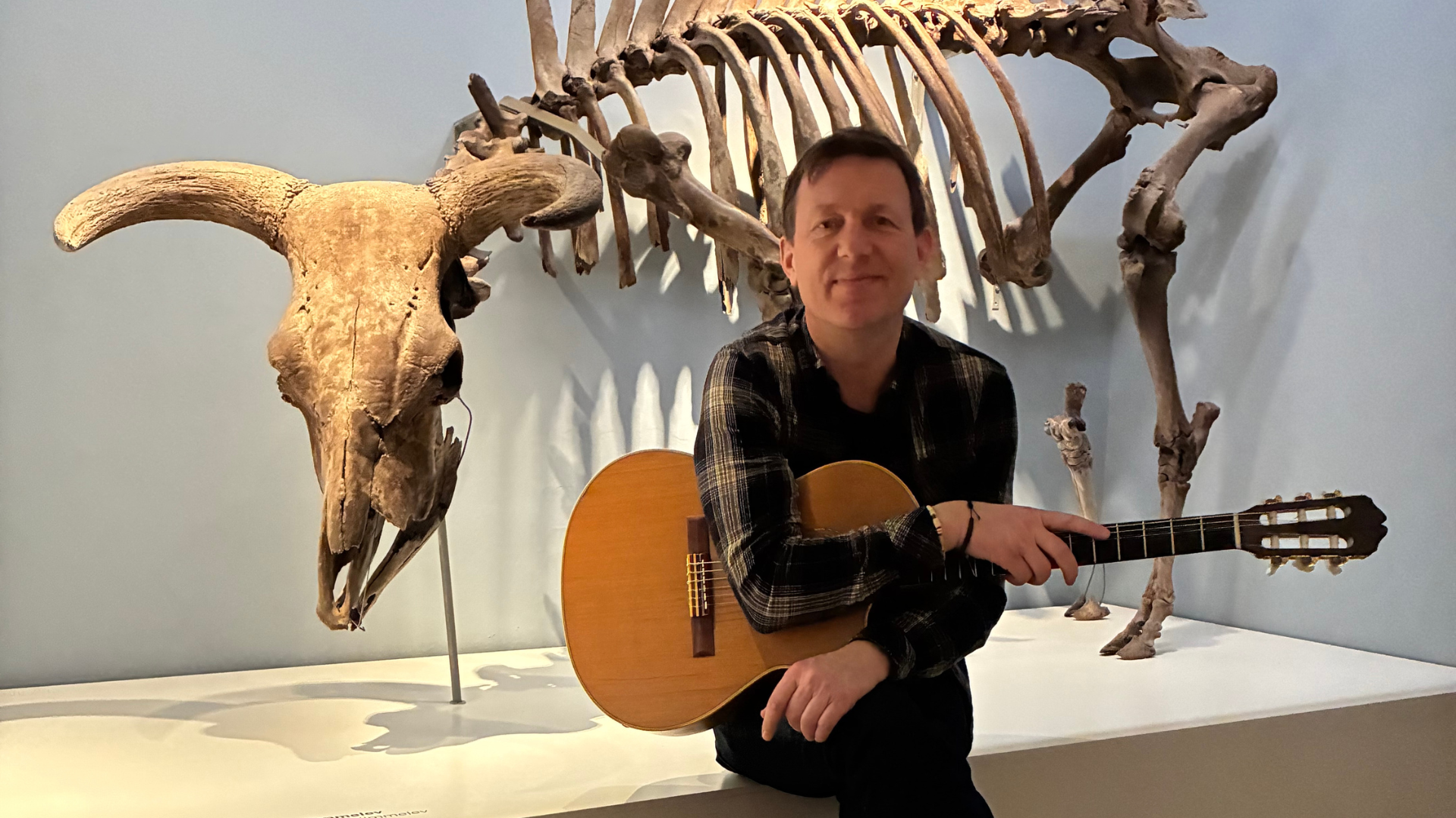 Musiker med guitar foran skelet af urokse i udstillingen på Roskilde Museum.