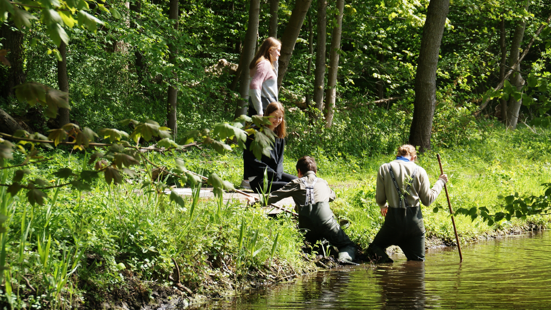 Børn og voksne undersøger livet ved søbredden nær Tadre Mølle i Hvalsø med waders og naturaktiviteter.