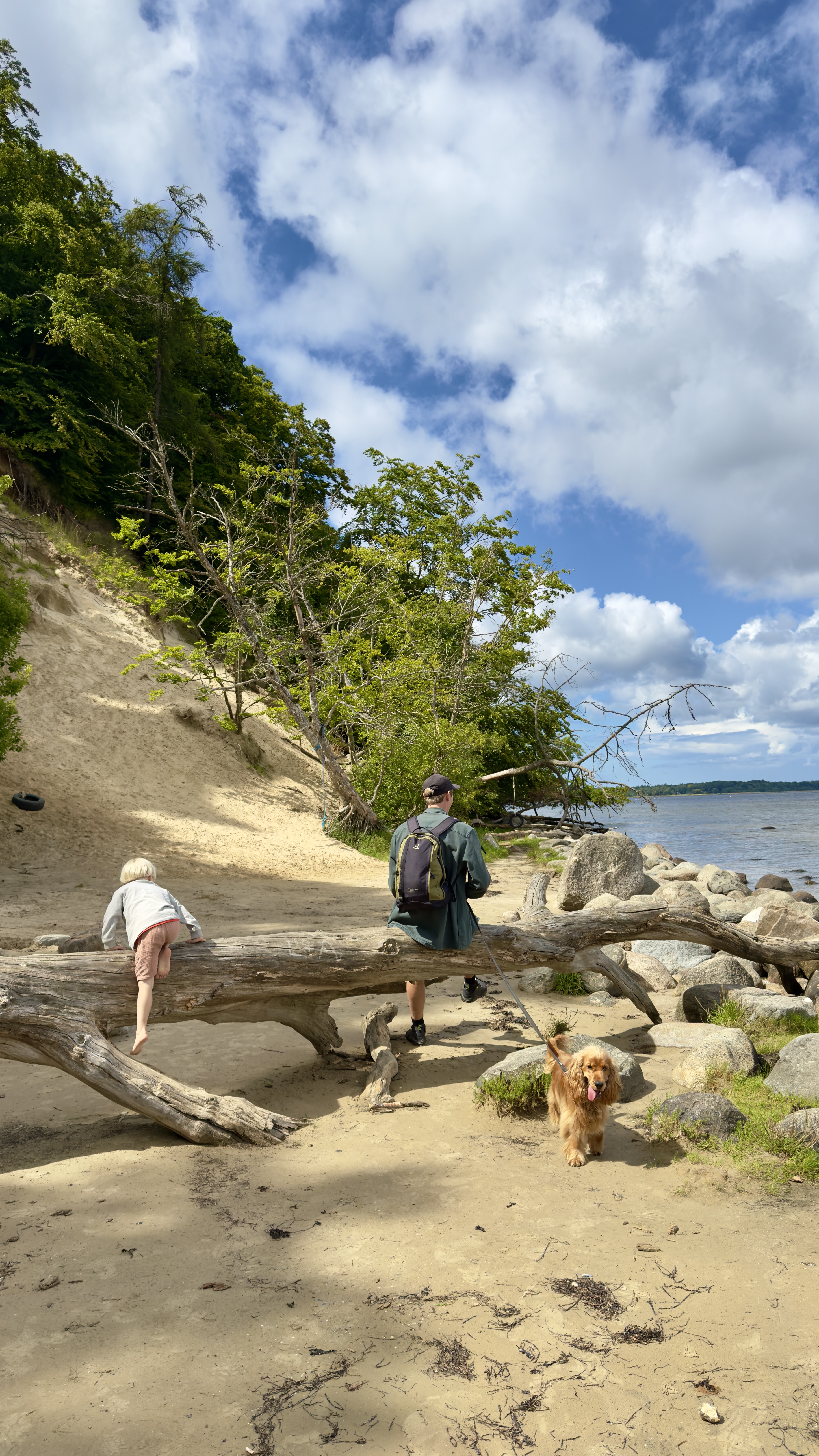 Familie og hund på stranden ved Tarzanskrænten omgivet af klinter, drivtømmer og kystnatur.