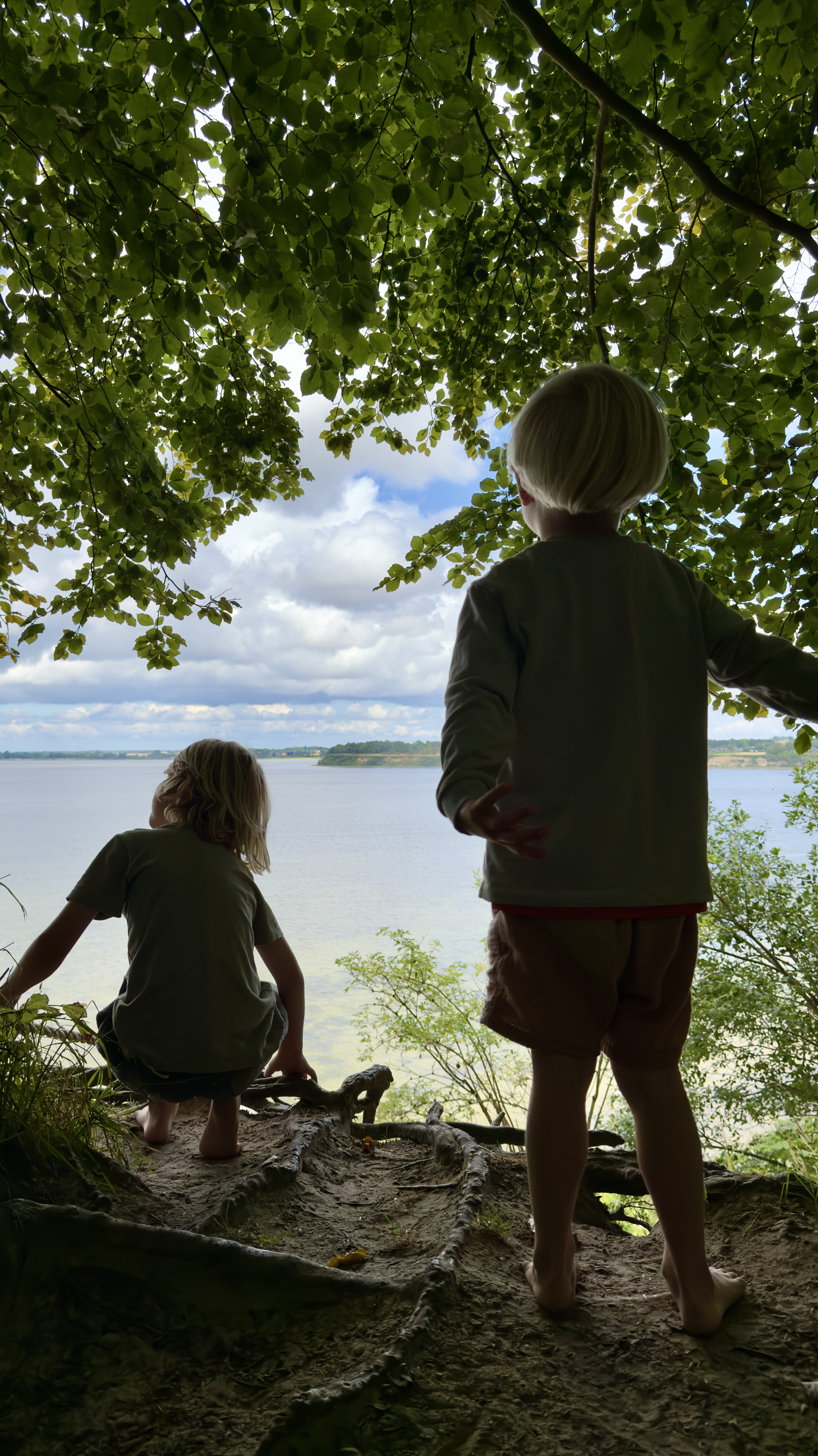 To børn nyder udsigten over Roskilde Fjord fra et skovklædt udsigtspunkt ved Tarzanskrænten.