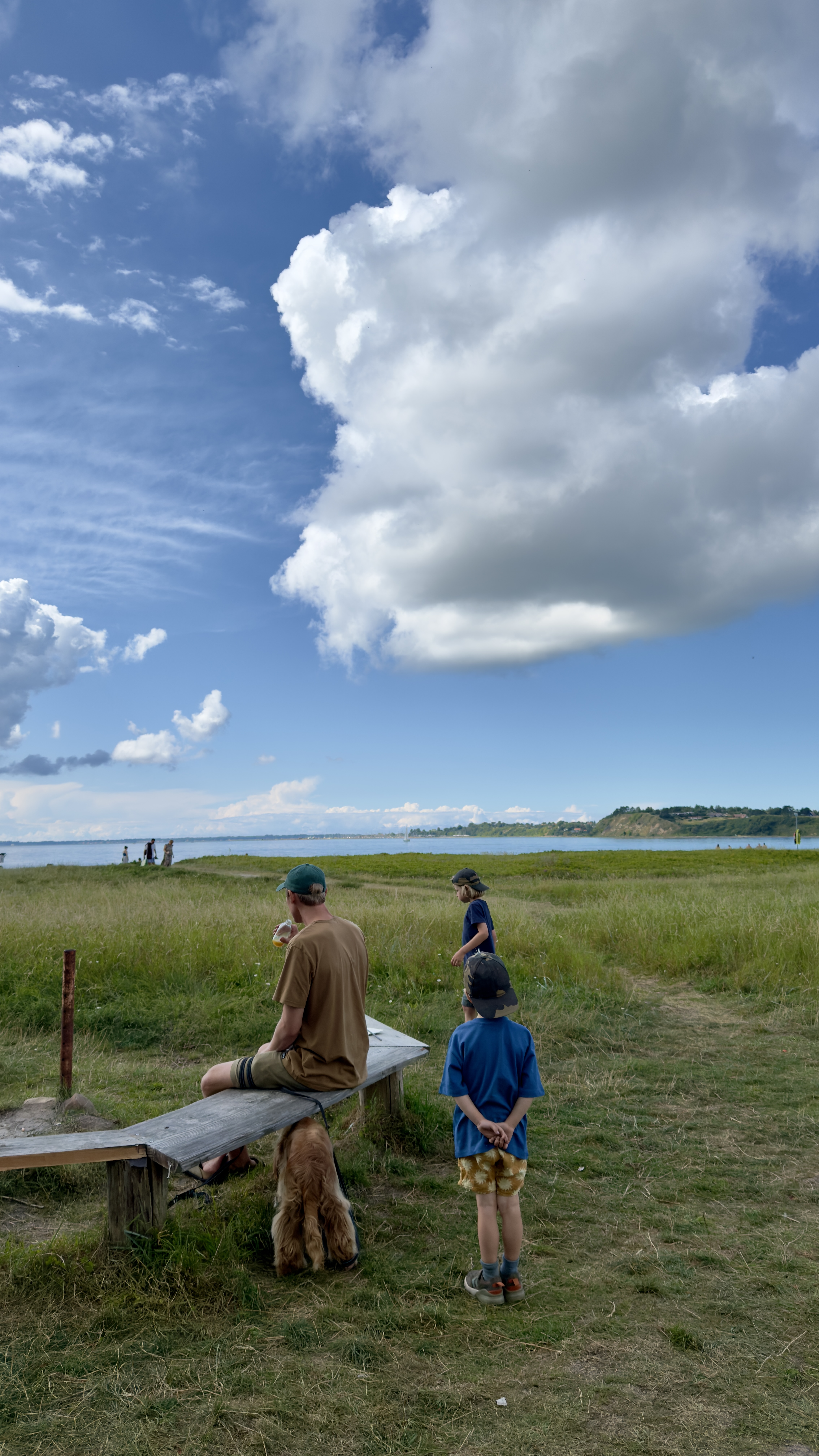 Familie og hund nyder udsigten over fjorden fra det grønne strandengsområde ved Kulhuse Strand under en dramatisk sommerhimmel.