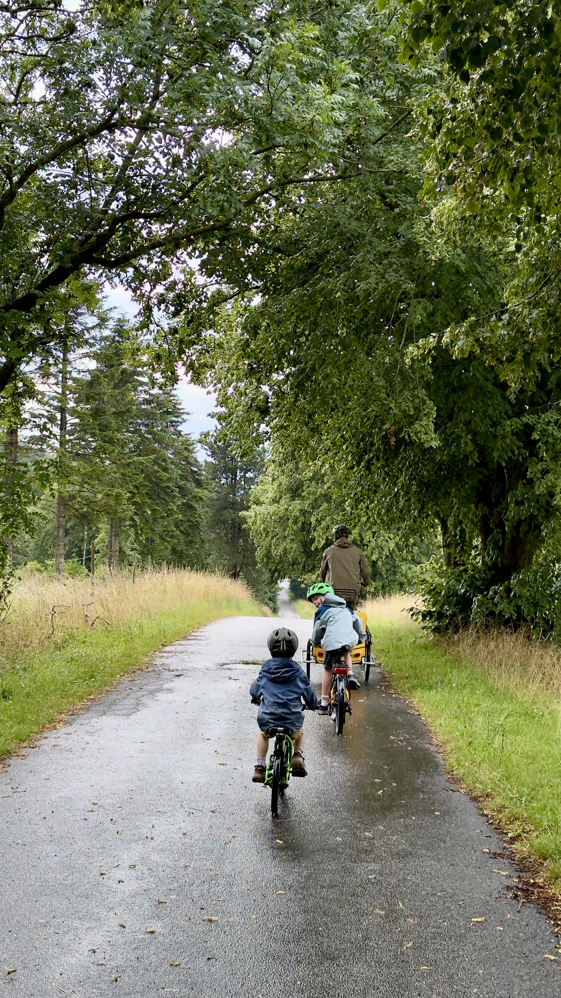 Familie cykler ad en grøn og træomkranset landevej med cykler fra Nordgården Cykeludlejning.