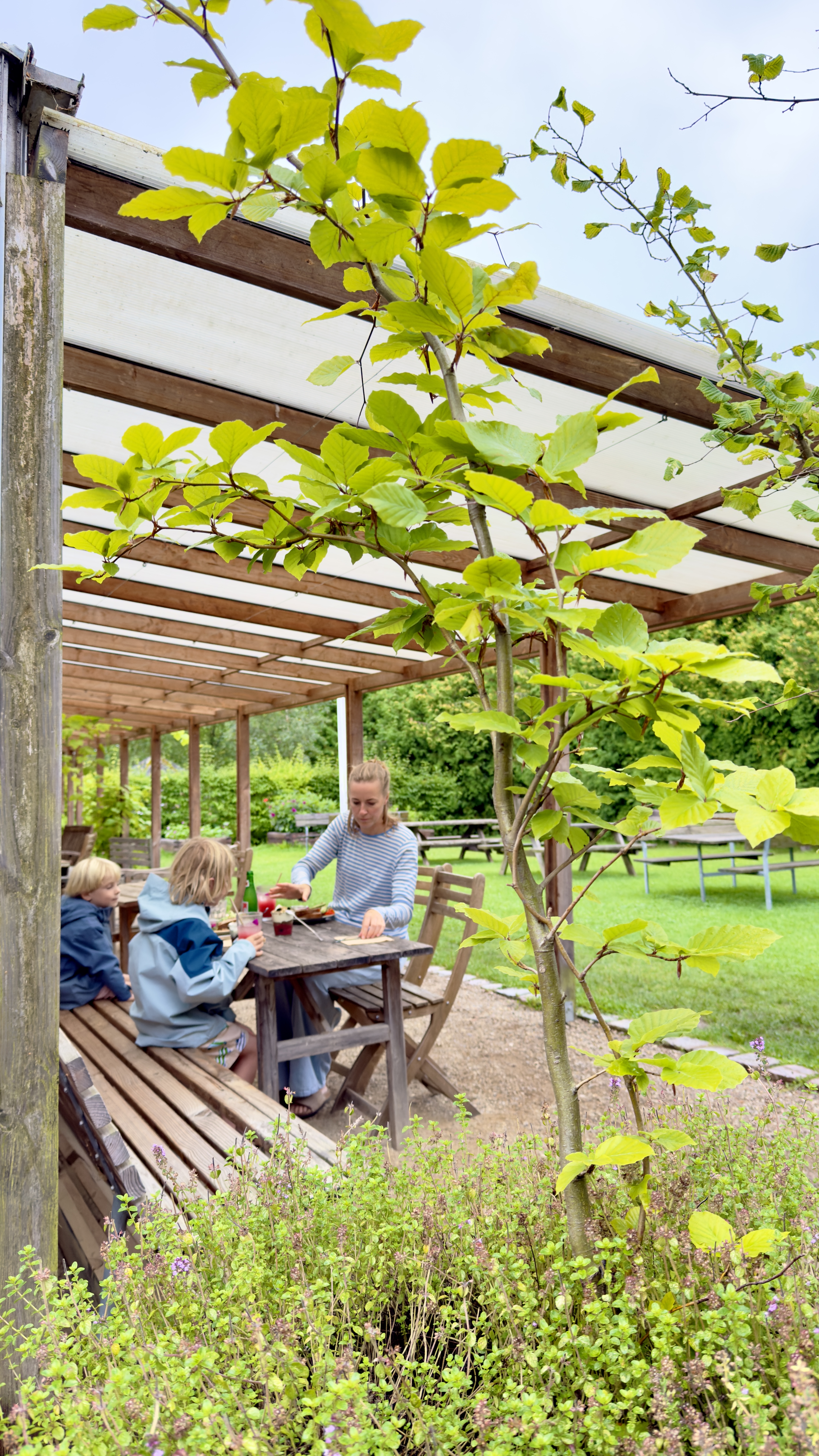 Familie sidder ved et bord i det grønne caféområde i Sct. Hans Have omgivet af træer, urter og frodig have.