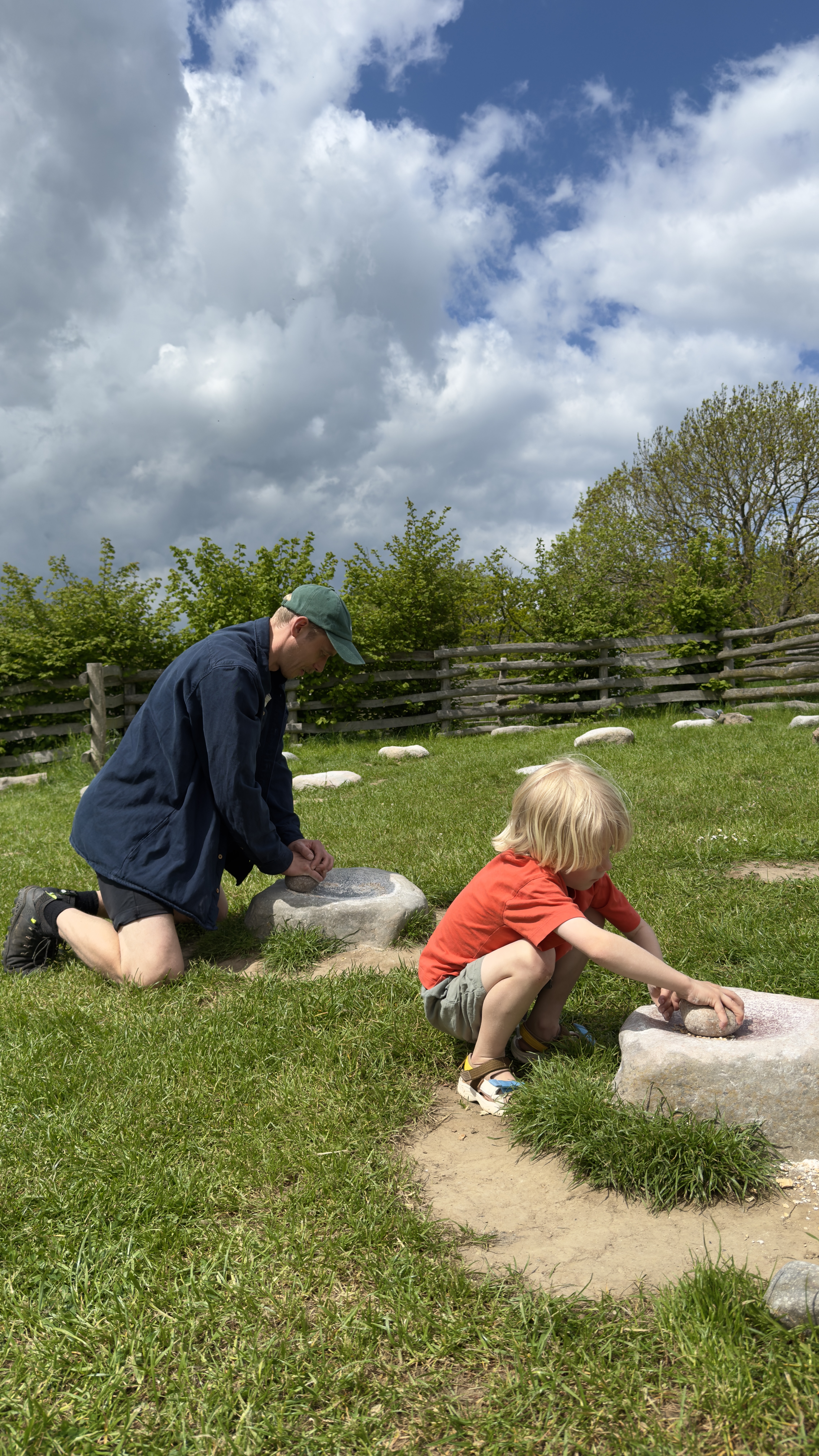 Barn og voksen prøver at male korn på traditionelle kværnsten i det historiske miljø i Sagnlandet Lejre.