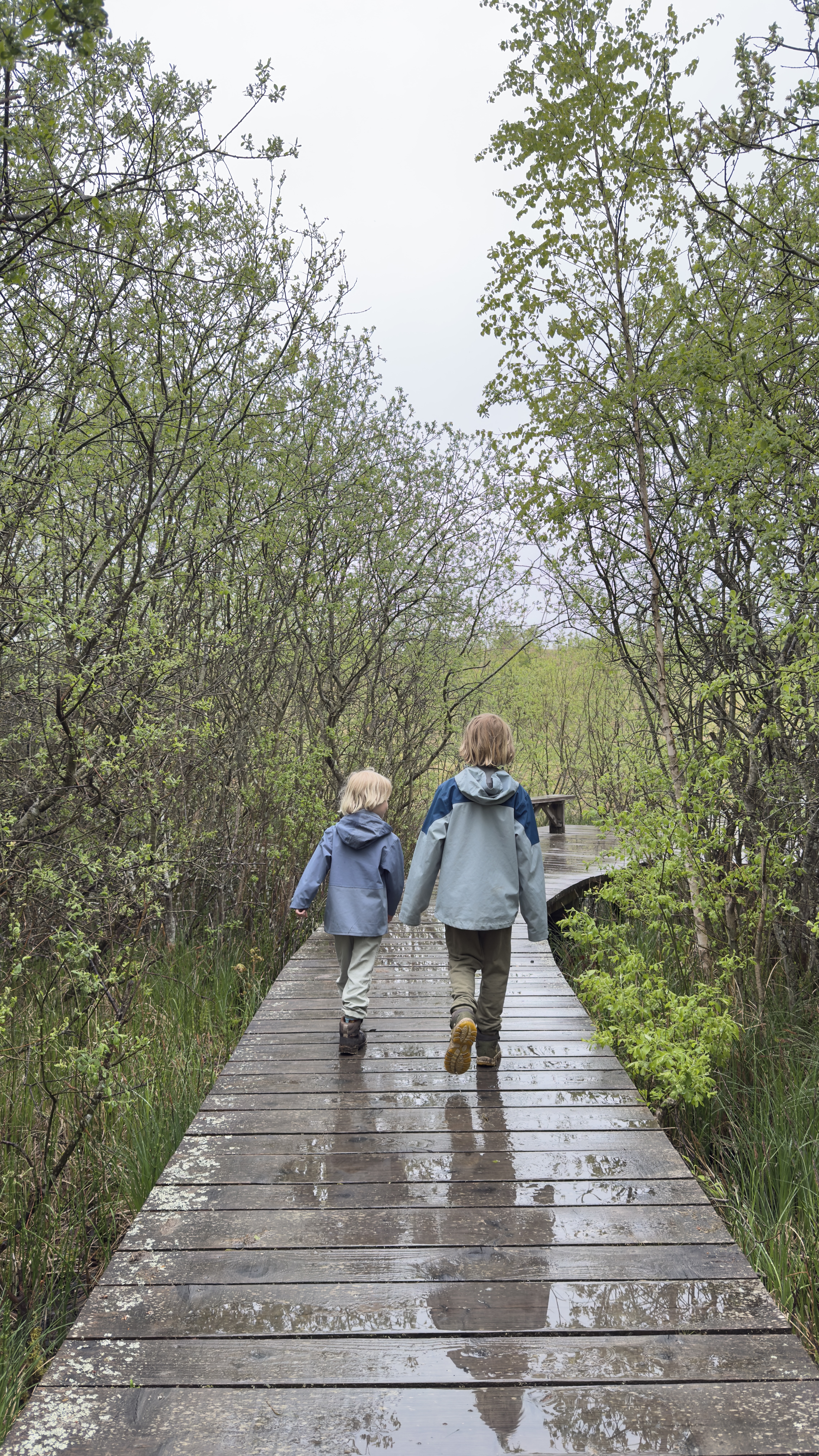 To børn går på en våd træsti gennem tæt, grøn natur.