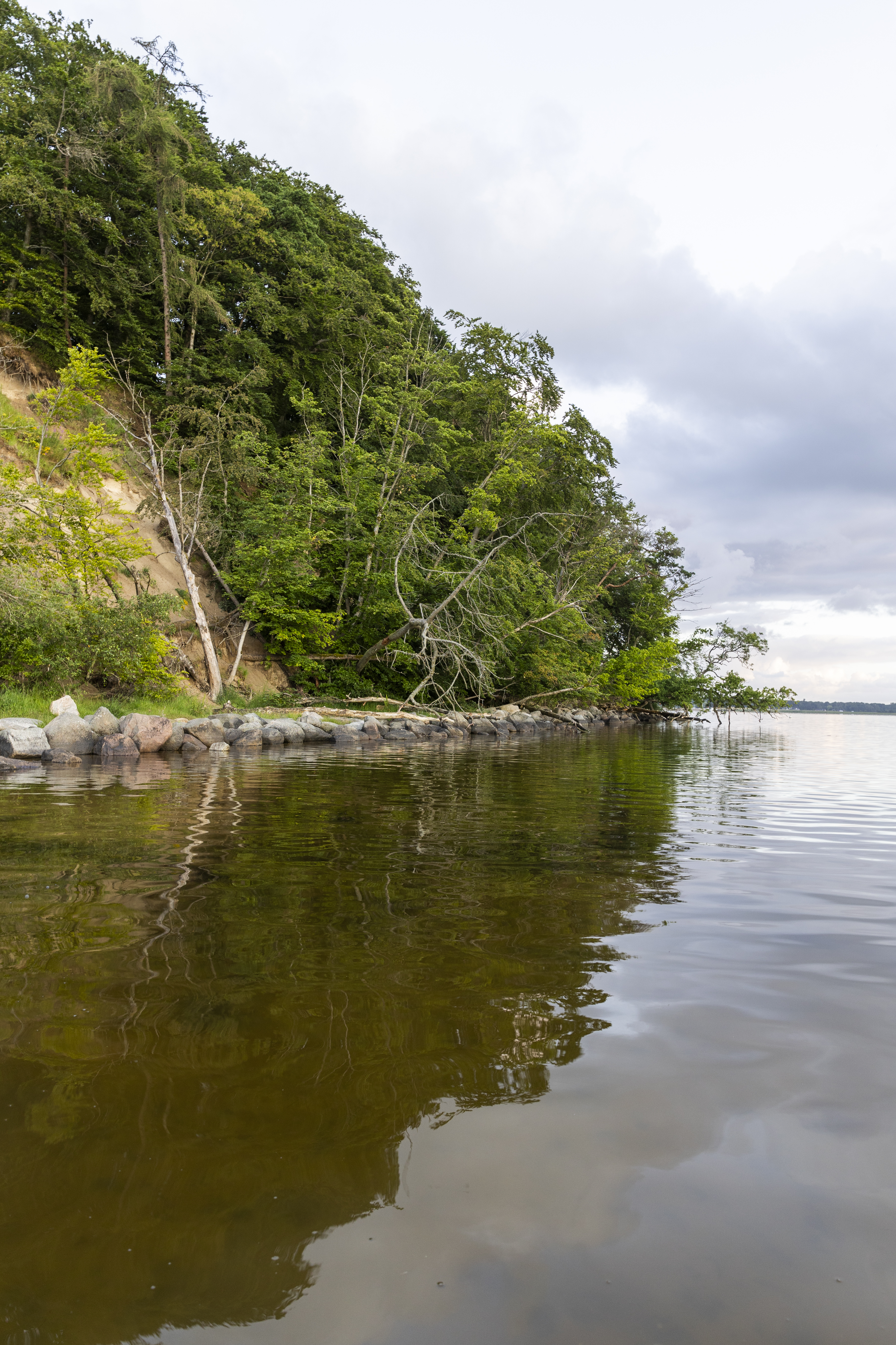 Tarzanskrænten on Roskilde Fjord, with trees along the shore and reflections in the water.