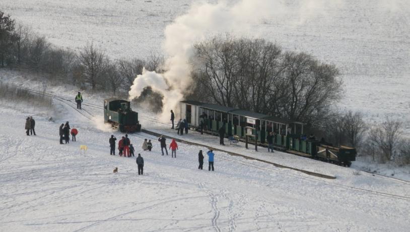 Hedelands veteranbane jul