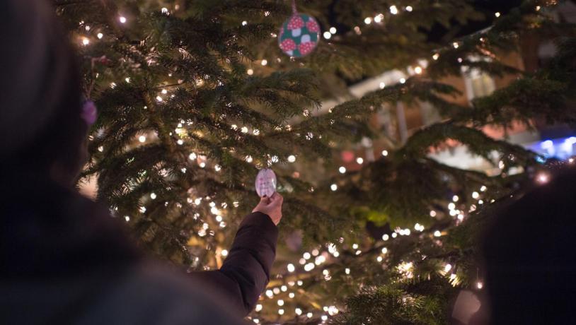 Juletræ I frederikssund