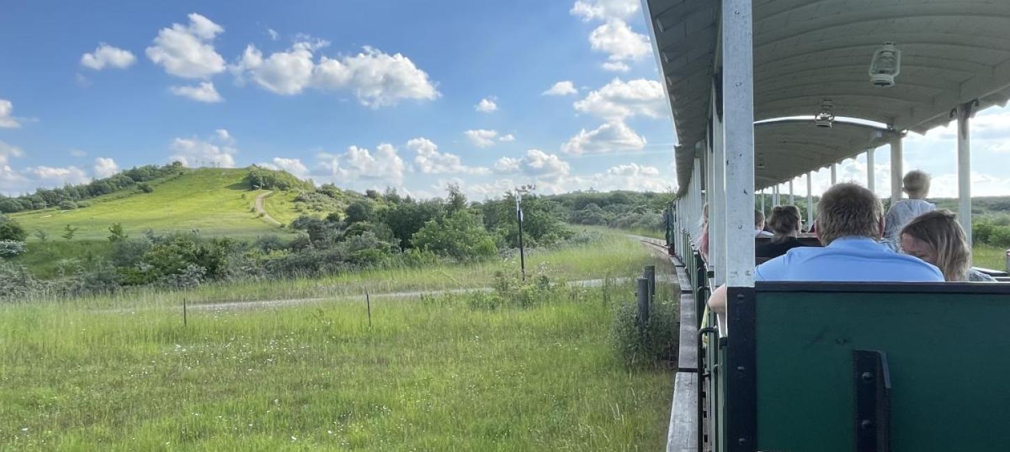 Hedeland veteranbane