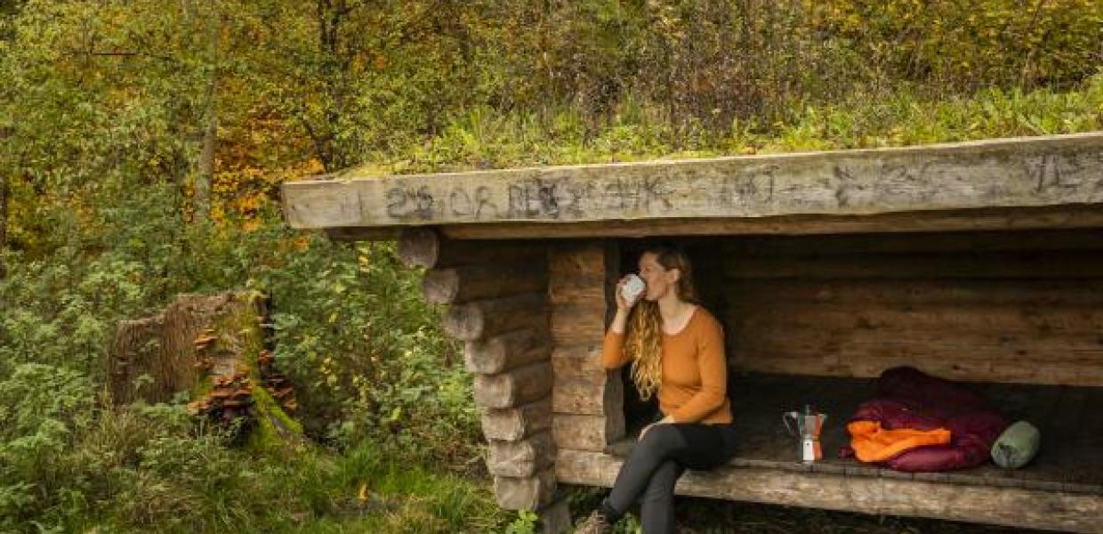 shelter overnatning