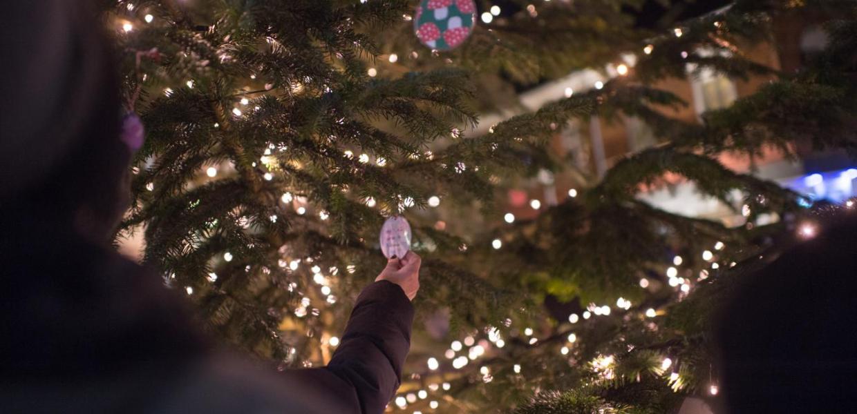 Juletræ I frederikssund