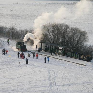 Hedelands veteranbane jul