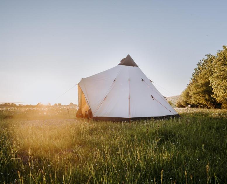 Glamping