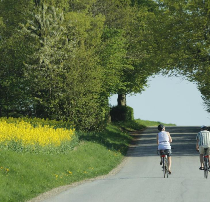 idyl cykeltur sommer 